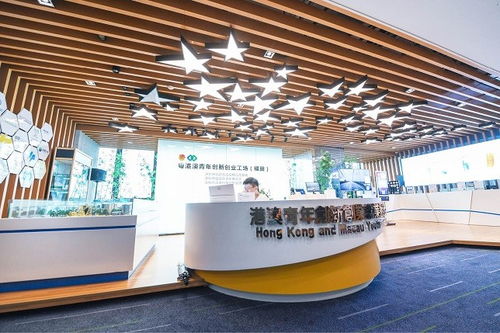 深圳 四十載風華織就城市文化底蘊，經紀人服務賦能藝術新生態