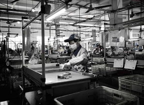 電子廠為何青睞文化較低者？背后真相與文化經紀人的新興服務